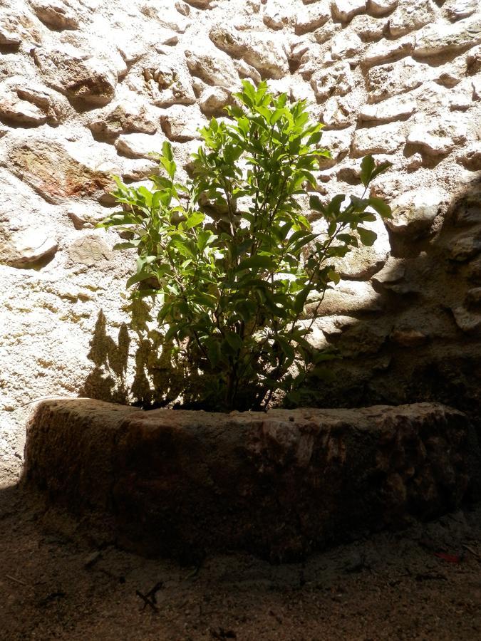 Cali B&B Alatri Buitenkant foto